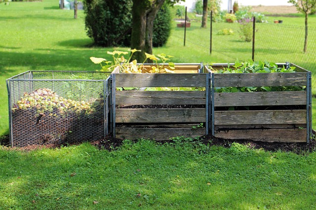 Compost Pile