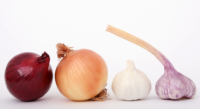 food onion