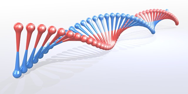 Testing Your Own DNA is Simple